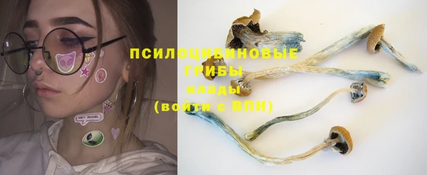 дмт Аркадак