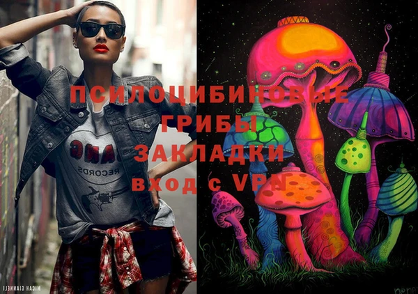 прущие крисы Алзамай