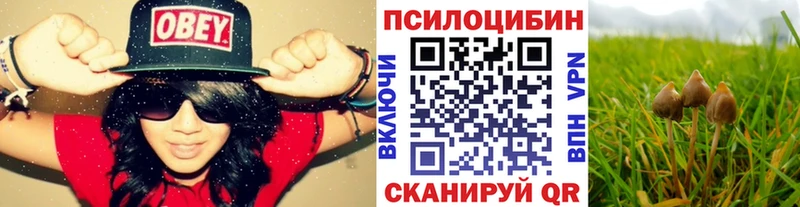 Псилоцибиновые грибы ЛСД  хочу наркоту  Снежногорск 